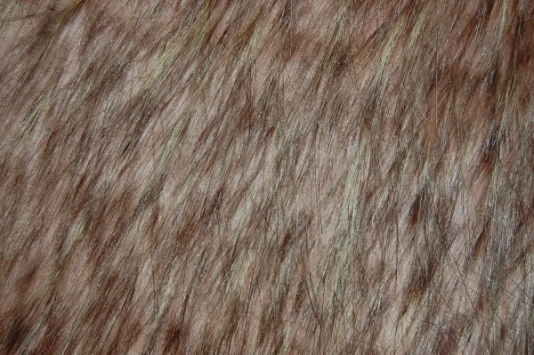 Buffy Fur Brown